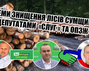 Депутати «Слуги народу» і «ОПЗЖ» об’єдналися та заробляють крадіжкою лісу на Шосткинщіні