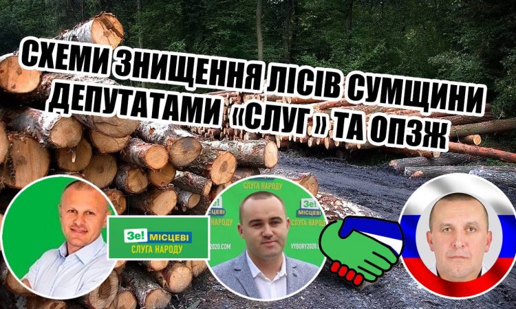 Депутати «Слуги народу» і «ОПЗЖ» об’єдналися та заробляють крадіжкою лісу на Шосткинщіні